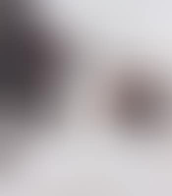 Raul from Pictures of Chocolate (preview)