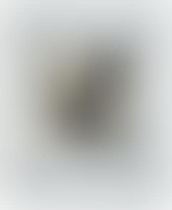 Riconoscimento (preview)