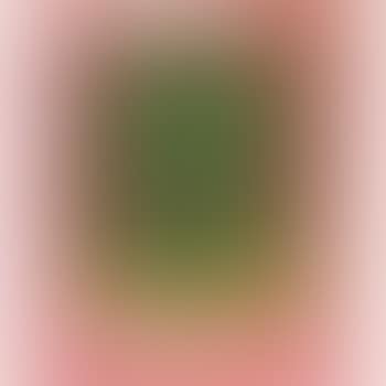 Untitled. Untitled (preview)