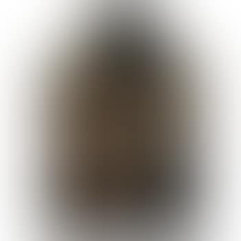The Adoration Of The Magi (preview)