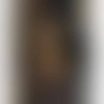 Jeanne Hébuterne (Au Chapeau) (preview)