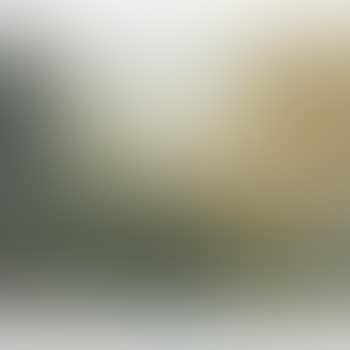 Etude De Joncs (preview)