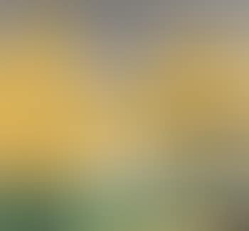 Willow pond in autumn (preview)