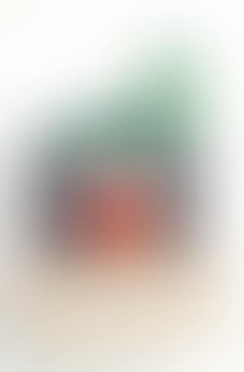 Nature morte XVI (preview)