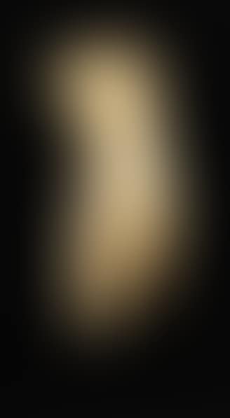 Torse Masculin Acéphale (preview)