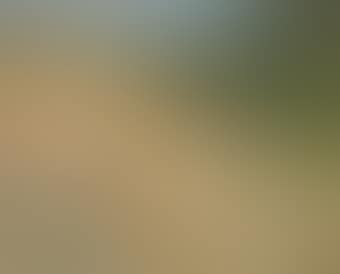 Moisson (preview)