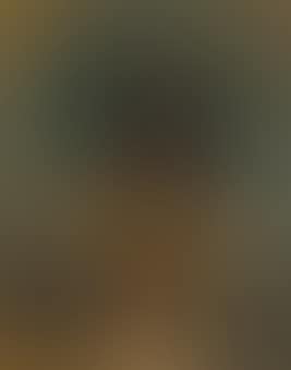 Le petit page (preview)