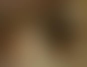 The admonishment of Beatrice Cenci (preview)
