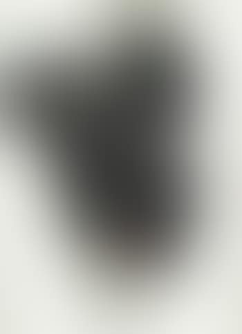 Abstract (preview)