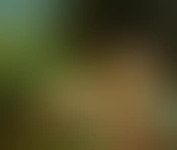 Baigneuse (preview)