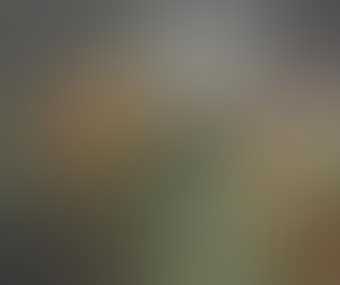 Untitled (appartenant au cycles des "Aubes") (preview)