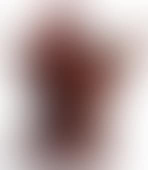 Rooster (preview)