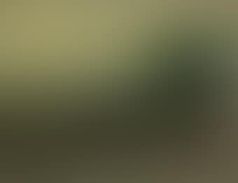 Landscape with trees (preview)
