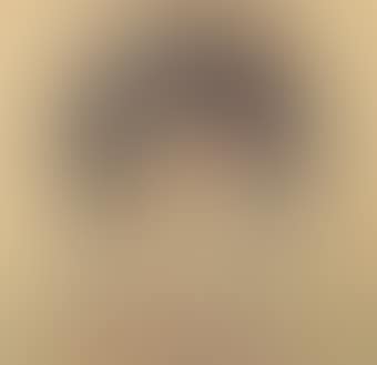 Portrait of the artist's wife Greet (preview)