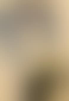 Standing nude (recto); nude seen from behind (verso) (preview)