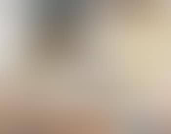 Der Sammler (preview)