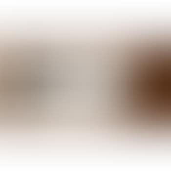 Black Image: The Pistol Shot (preview)