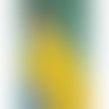 Anna Schroeder (preview)
