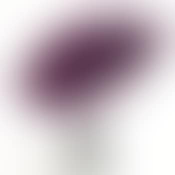 Concetto Spaziale, Pillola (preview)
