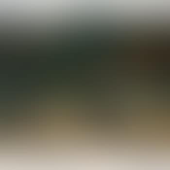 Paysage D'arcachon (preview)