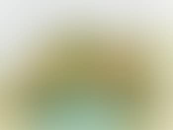 Nature morte (preview)