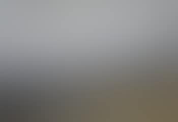 Sheep in the moors (preview)