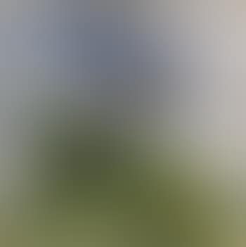 Paysage (preview)