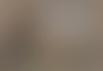 Paysage (preview)