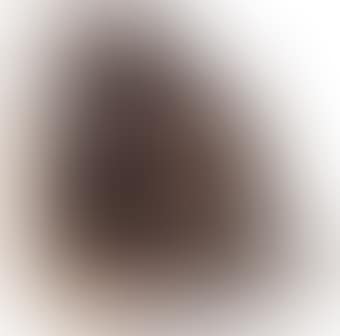 Sheep (preview)