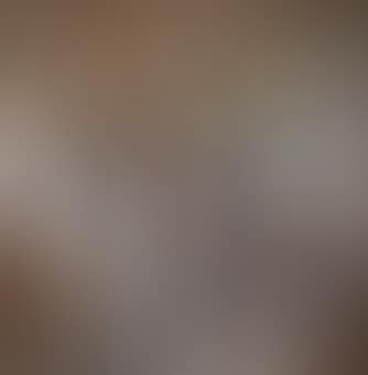 Lotus Lantern (preview)