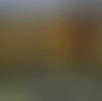 Autumn Forest (preview)