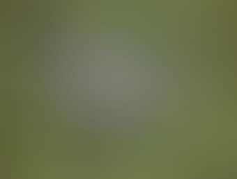 A lady in white seated in a garden (preview)