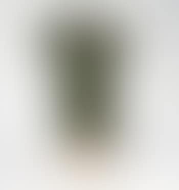 Persée (preview)