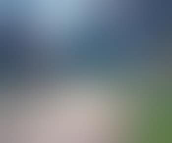 Paysage (preview)