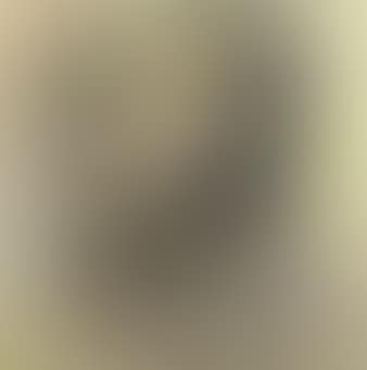 Portrait of Gustav Mahler (preview)