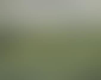Paysage (preview)