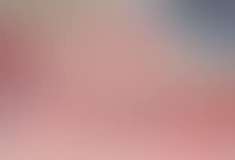 Playmate after Rokeby Venus (preview)