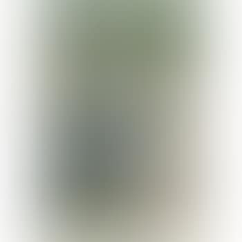 Set Design (preview)