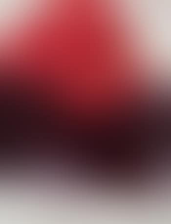 Rechberg (preview)