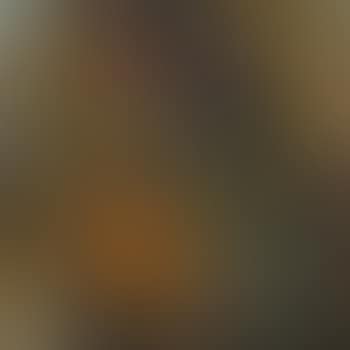 Prozession (preview)