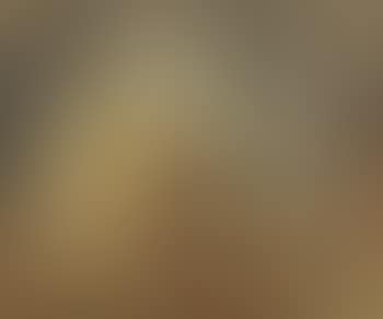 Still life (preview)