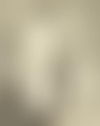 Standing nude with Spanish mantilla and white vase with handle (preview)