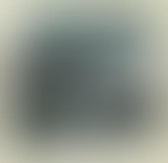 A framed painting (preview)