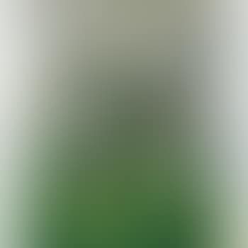 Paysage (preview)