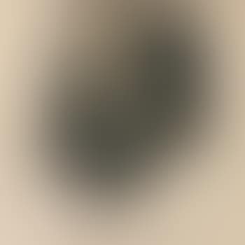 Ecce Homo (Portrait De Frédéric Nietzsche) (preview)
