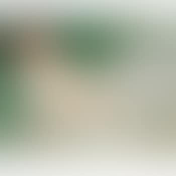 La Barque (preview)