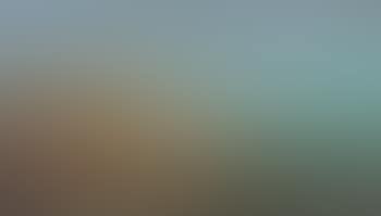 Vue d'Istanbul (preview)