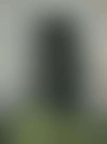 Disintegrated head (preview)