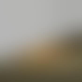 Easter Penance (preview)