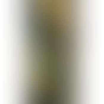 Still Life (preview)